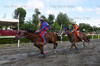 Immagine <b>REG_9368</b>